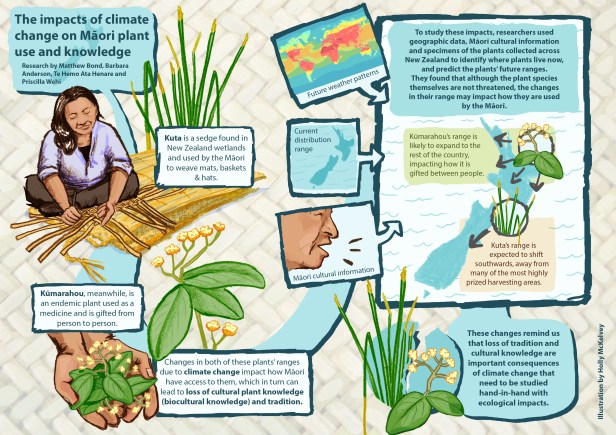 Kuta-Kūmarahou26.03-background updated