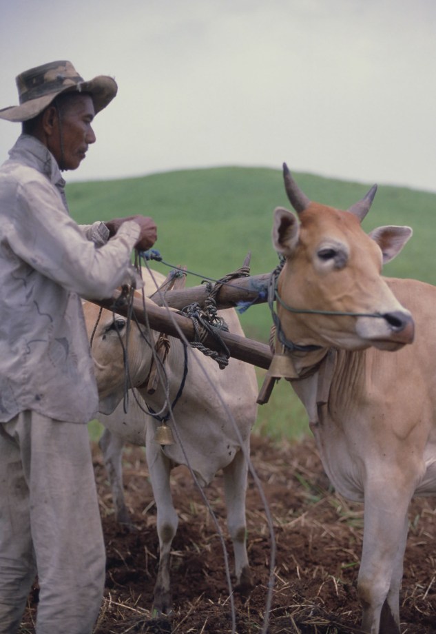 GRASSLAND&amp;CC.PHOTO1