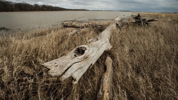 Gooden PAN-18-11-098.R2