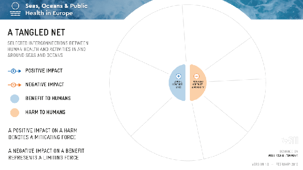 tangled_net_loop_slow3