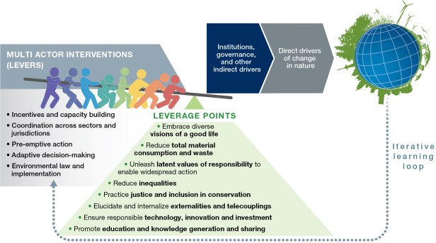 Plain language summary: Levers and leverage points for pathways to ...