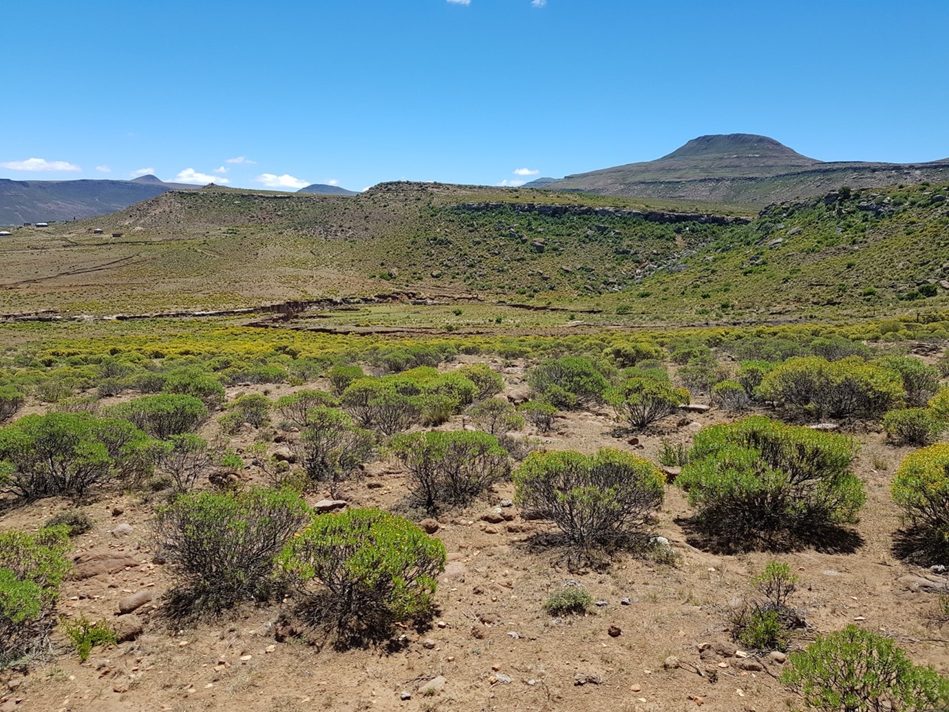 Communal Rangelands Plain language summary: ‘The Ghost of Environmental History’ – Taking a ...