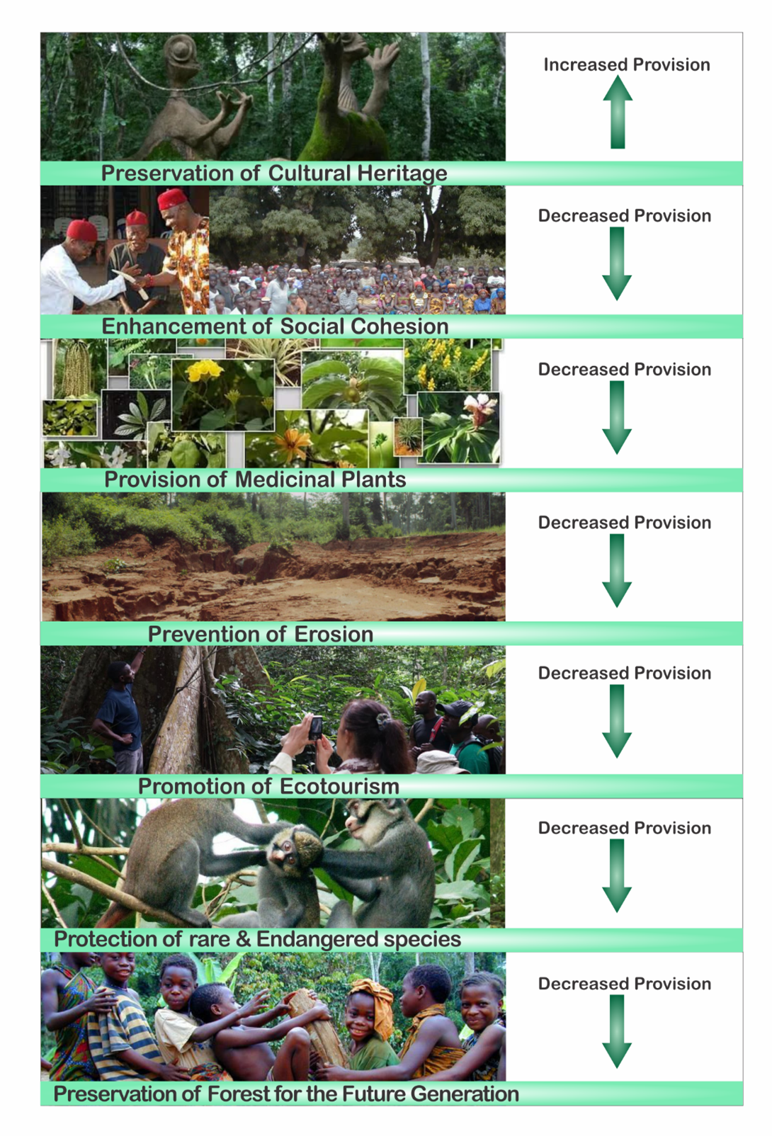 Plain Language Summary: What values matter most to people in sacred ...