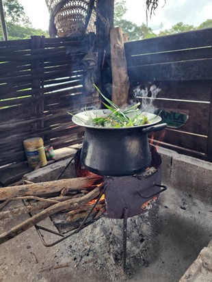 Decoctul Plain Language Summary: Traditional knowledge of medicinal plants ...