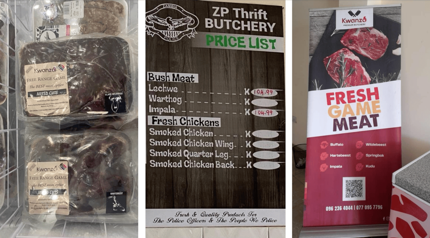 Game/meat Poster Plain Language Summary: What shapes participation and benefits in the ...